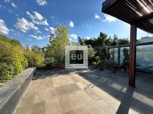 Property Thumb