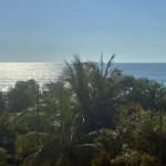 PHOTO 2025 09 26 09 21 48 Edit – Espacios Urbanos